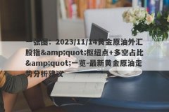 一张图：2023/11/14黄金原油外汇股指&amp;quot;枢纽点+多空占比&amp;quot;一览