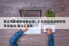 美元风暴继续席卷全球！汇兑风险或成新财报季关键词-美元汇走势