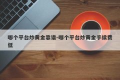 哪个平台炒黄金靠谱-哪个平台炒黄金手续费低