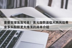 重要支撑岌岌可危！美元指数面临大跌风险黄金多头酝酿更大爆发的简单介绍