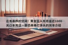 还有暴跌的空间！黄金坠入熊市逼近1600关口本周这一幕恐再棒打多头的简单介