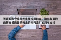 英国脱欧今晚再迎重要投票欧元、澳元和美股最新交易操作策略金价如何走？的