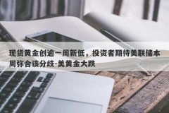 现货黄金创逾一周新低，投资者期待美联储本周弥合该分歧-美黄金大跌