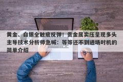 黄金、白银全触底反弹！贵金属卖压呈现多头主导技术分析师急喊：等等还不到