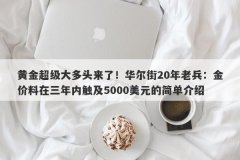 黄金超级大多头来了！华尔街20年老兵：金价料在三年内触及5000美元的简单介绍