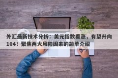 外汇最新技术分析：美元指数看涨，有望升向104！聚焦两大风险因素的简单介绍