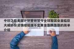 中印之后美国计划重磅禁令全球服装业面临巨大威胁投资情绪摇摆不定黄金急跌
