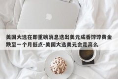 美国大选在即重磅消息迭出美元成香饽饽黄金跌至一个月低点-美国大选美元会