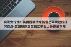 突发大行情！英国脱欧传来新消息英镑短线狂泻百点-英国脱欧后英镑汇率会上