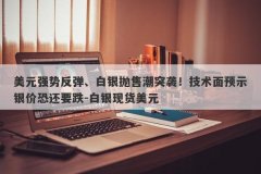 美元强势反弹、白银抛售潮突袭！技术面预示银价恐还要跌-白银现货美元