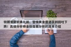 特朗普就职典礼前、警惕黄金遭遇获利回吐下跌！高级分析师金价交易分析的简