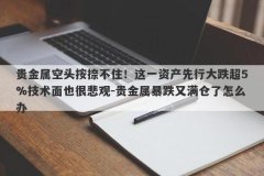 贵金属空头按捺不住！这一资产先行大跌超5%技术面也很悲观-贵金属暴跌又满仓
