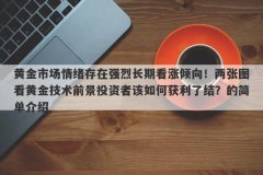 黄金市场情绪存在强烈长期看涨倾向！两张图看黄金技术前景投资者该如何获利