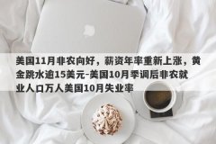美国11月非农向好，薪资年率重新上涨，黄金跳水逾15美元-美国10月季调后非农