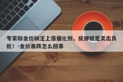 专家称金价缺乏上涨催化剂，反弹就是卖出良机！-金价暴跌怎么回事