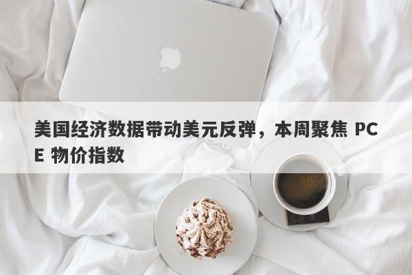 美国经济数据带动美元反弹，本周聚焦 PCE 物价指数